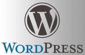 Premium WordPress Themes