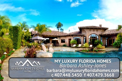 my-luxury-florida-real-estate-case study